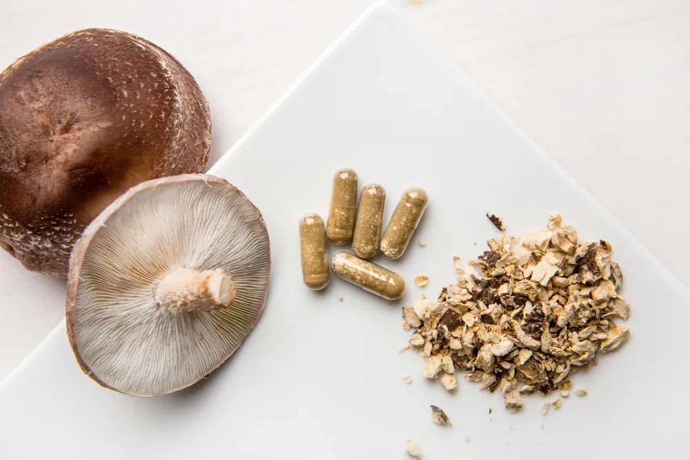 Mushroom Supplements: The Antioxidant Powerhouses for Holistic Health