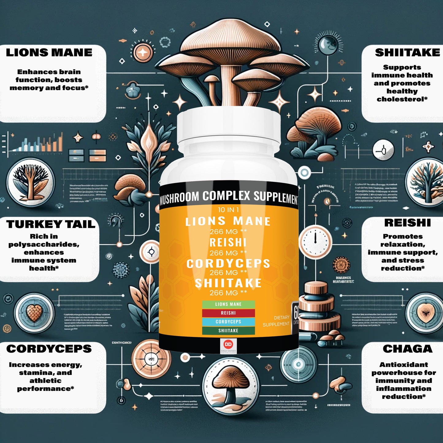 (2 Pack - 2 Month Supply) Lions Mane Mushroom Complex Reishi Turkey Tail Mushroom Capsules Chaga Mushroom Nootropics Brain Support Adaptogenic Mushroom Powder Energy Supplements (60 Count)
