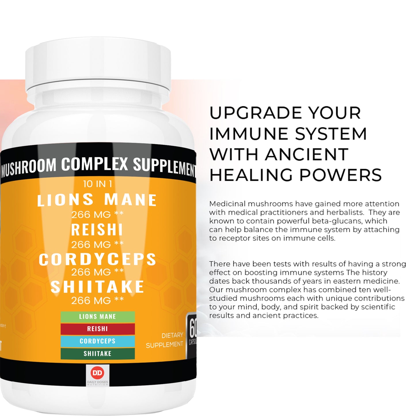 (2 Pack - 2 Month Supply) Lions Mane Mushroom Complex Reishi Turkey Tail Mushroom Capsules Chaga Mushroom Nootropics Brain Support Adaptogenic Mushroom Powder Energy Supplements (60 Count)