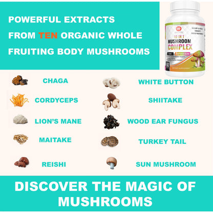 Rainbow Spectrum 10 in 1 Mushroom Complex 60 Count